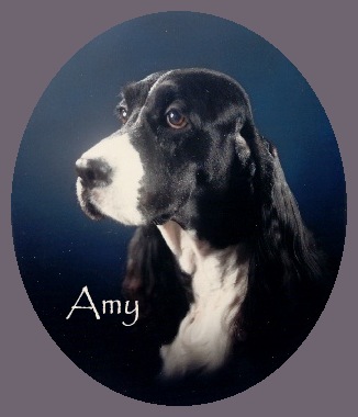 Amy