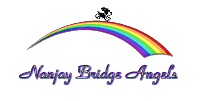 Nanjay Bridge Angels
