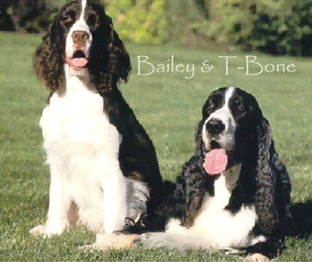 Bailey and T-Bone
