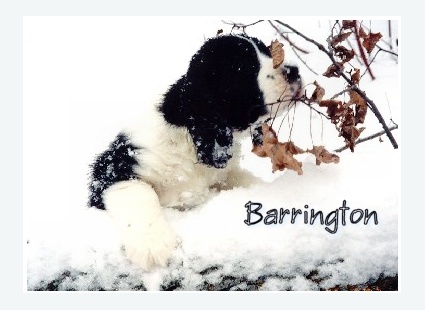 Barrington