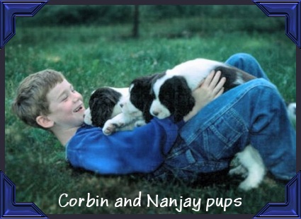 Corbin and Nanjay puppies