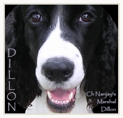 Dillon