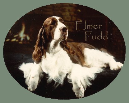 Elmer Fudd