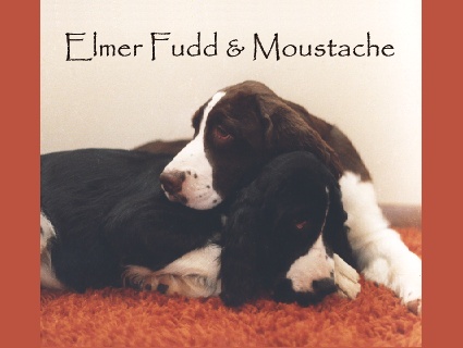 Elmer Fudd and Moustache