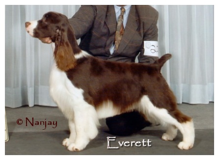Everett