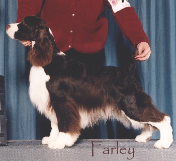 Farley