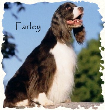 Farley