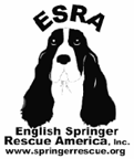 English Springer Rescue America, Inc.