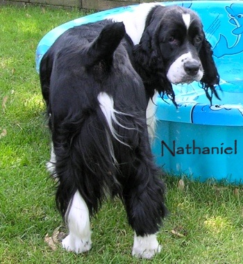 Nathaniel