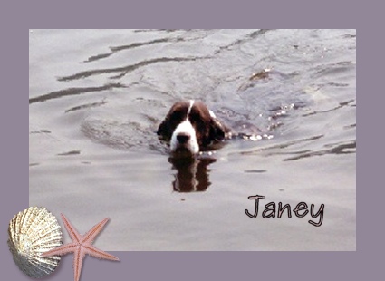 Janey