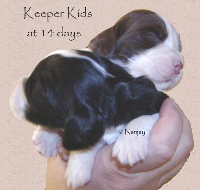 Keeper Kids