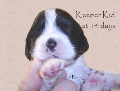 Keeper Kid