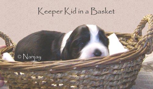 Keeper Kid in a Basket