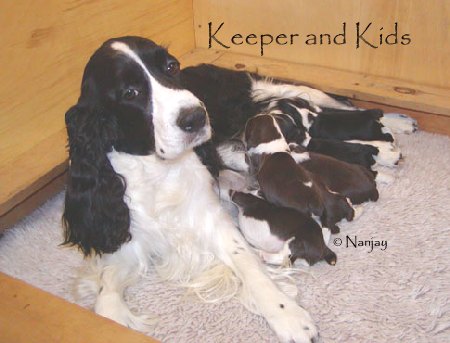 Keeper and Kids