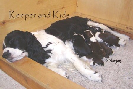 Keeper and Kids