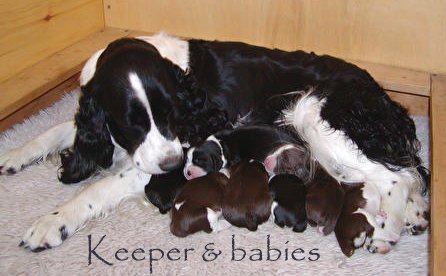 Keeper and her babies