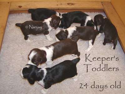 Keeper Kids 3 1/2 weeks old