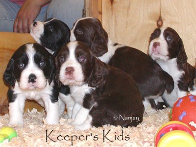 Keeper's Kids