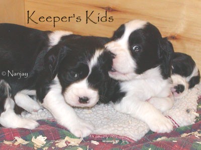 Keeper's Kids