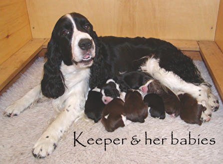 Keeper and her babies
