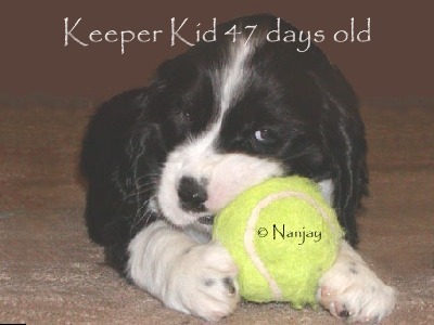 Keeper Kids 7 weeks old