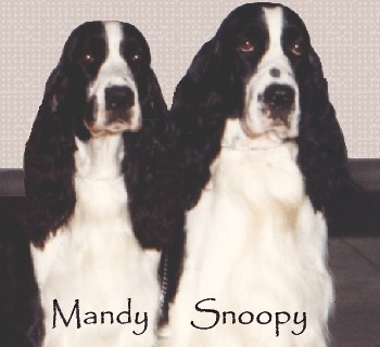 Mandy and Snoopy