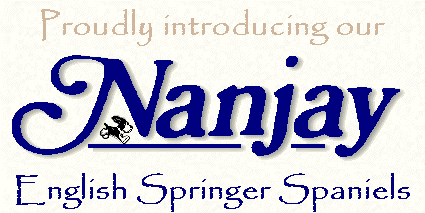 Nanjay English Springer Spaniels