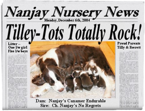 Tilley-Tots Totally Rock!