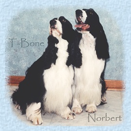 T-Bone and Norbert