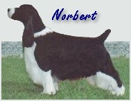 Norbert