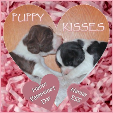 Happy Valentine's Day from Nanjay