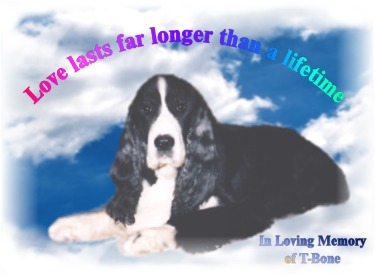 Love lasts far longer than a lifetime