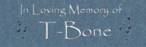 In Loving Memory of T-Bone