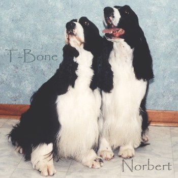 T-Bone and Norbert