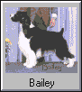 Bailey