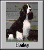 Bailey