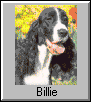 Billie