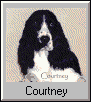 Courtney