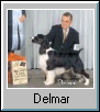 Delmar