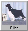 Dillon