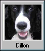 Dillon