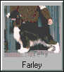 Farley