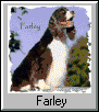 Farley