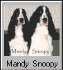 Mandy and Snoopy