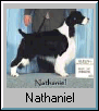 Nathaniel