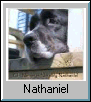 Nathaniel