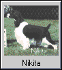 Nikita