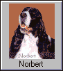 Norbert