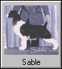 Sable