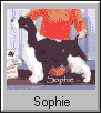 Sophie